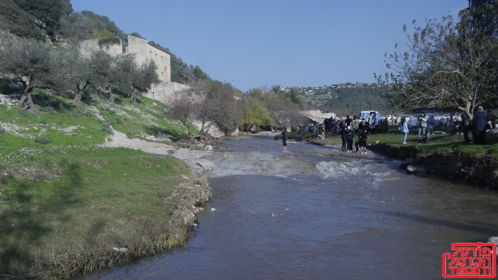 פרשת ויקהל פקודי