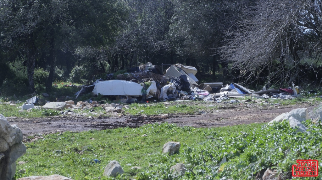 פורטל הכרמל