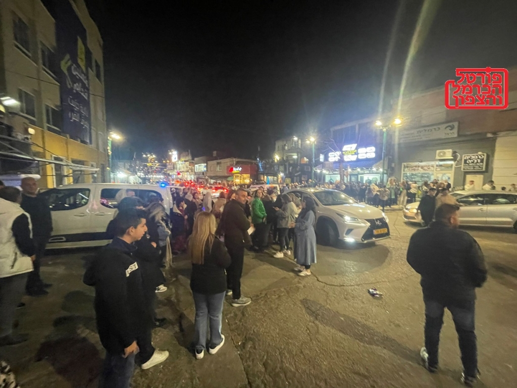 פורטל הכרמל