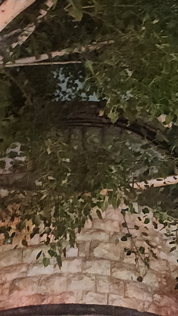 פורטל הכרמל