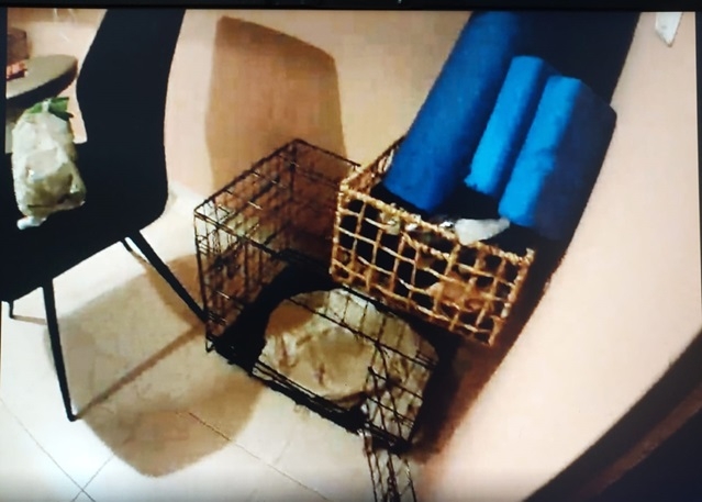 נהגה לכלוא את ילדיה בתוך כלוב