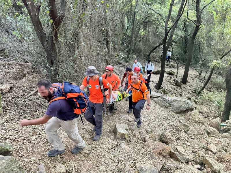 פורטל הכרמל