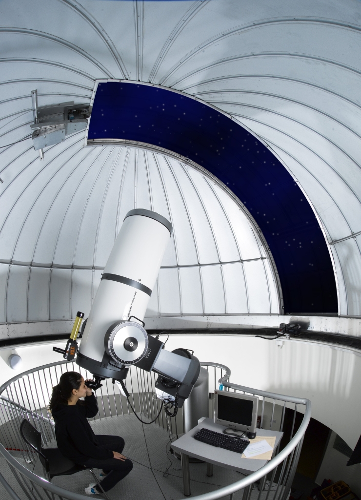 פורטל הכרמל