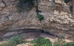 מקרה נדיר של קדחת המערות אובחן בבני ציון בחיפה