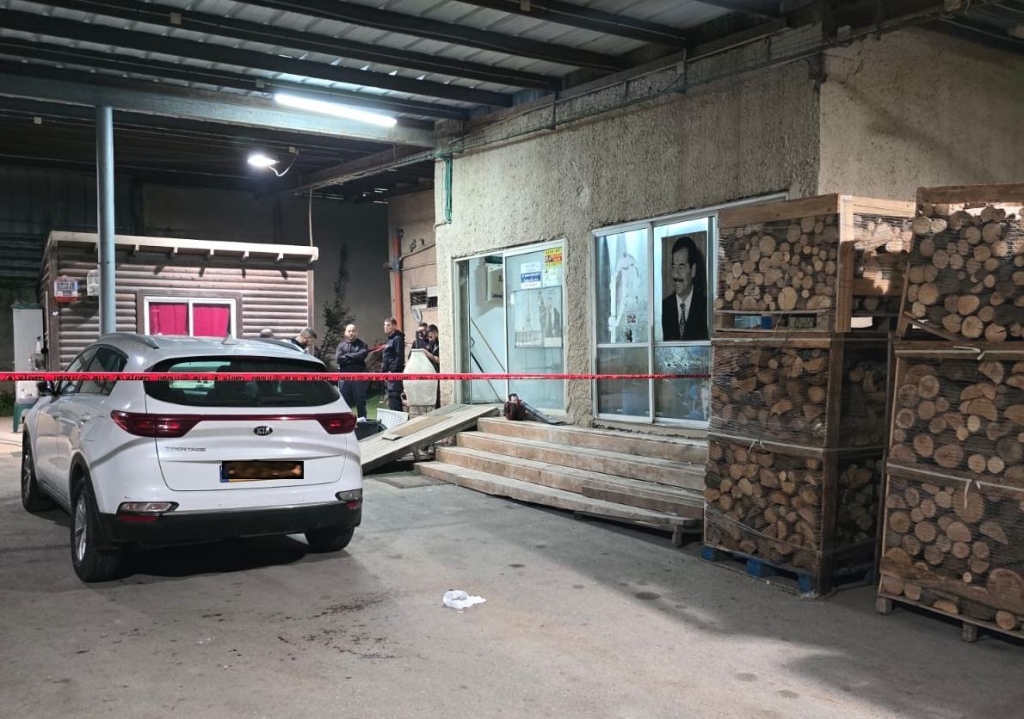 פורטל הכרמל