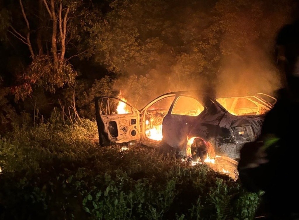 פורטל הכרמל