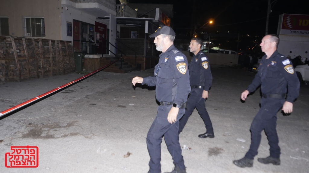 פורטל הכרמל