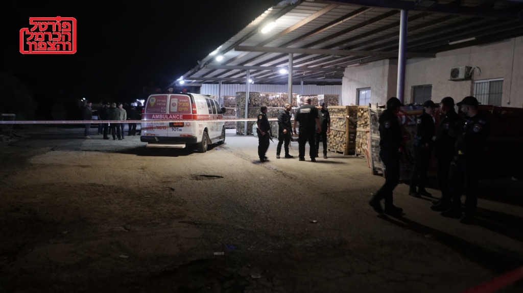 פורטל הכרמל