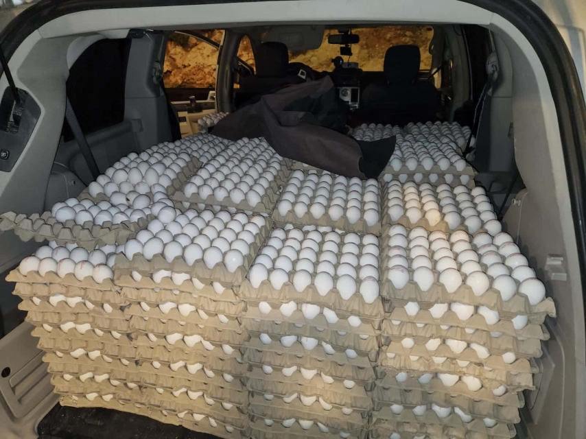 נתפסו מעל 130,000 ביצים שהוברחו מהרשות הפלסטינית