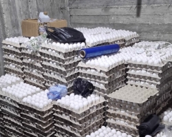נמנע שיווקן של למעלה מ-270,000 ביצים מוברחות