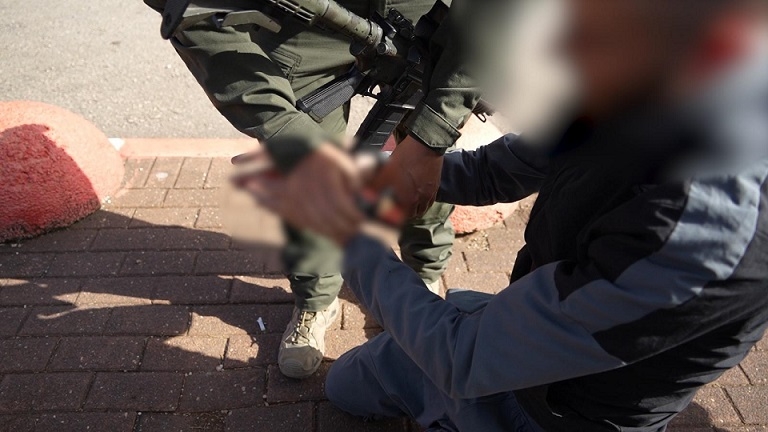 פורטל הכרמל