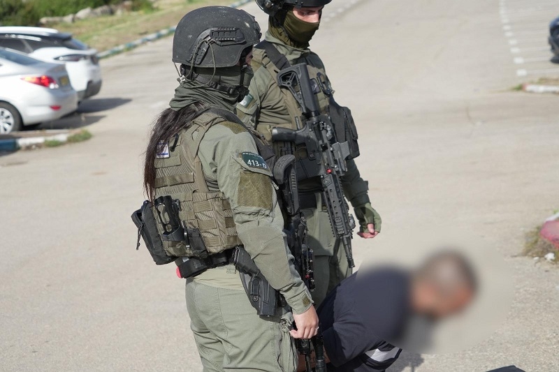 פורטל הכרמל