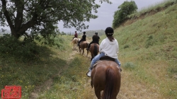 אגרות בסך מיליארד וחצי ₪ נגבו ממעסיקים