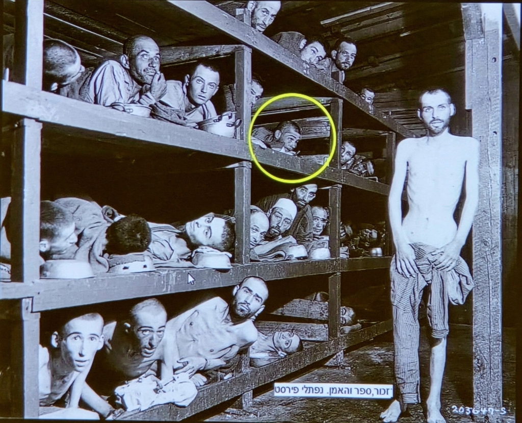 נפתלי פירסט שורד השואה