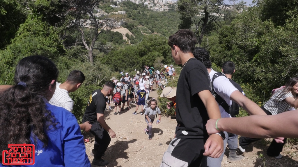 פורטל הכרמל