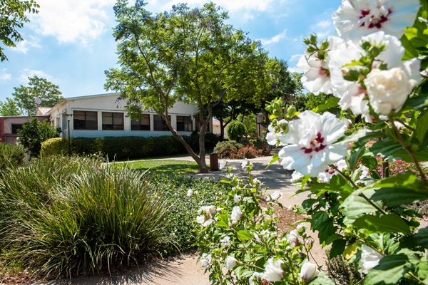 פורטל הכרמל