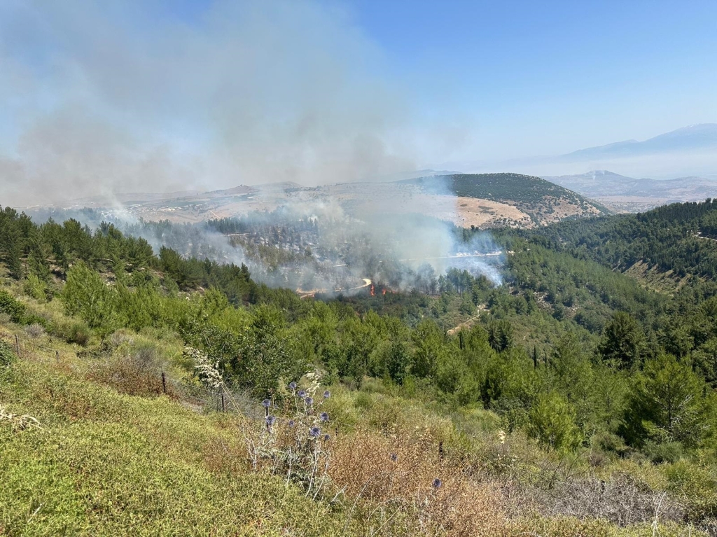 פורטל הכרמל