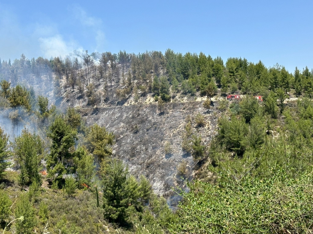 עדכון לשריפות בצפון