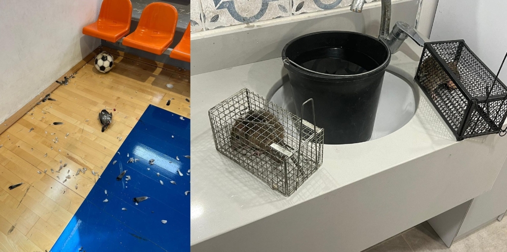 אחזקה לקוייה של אולמות הספורט בדליה