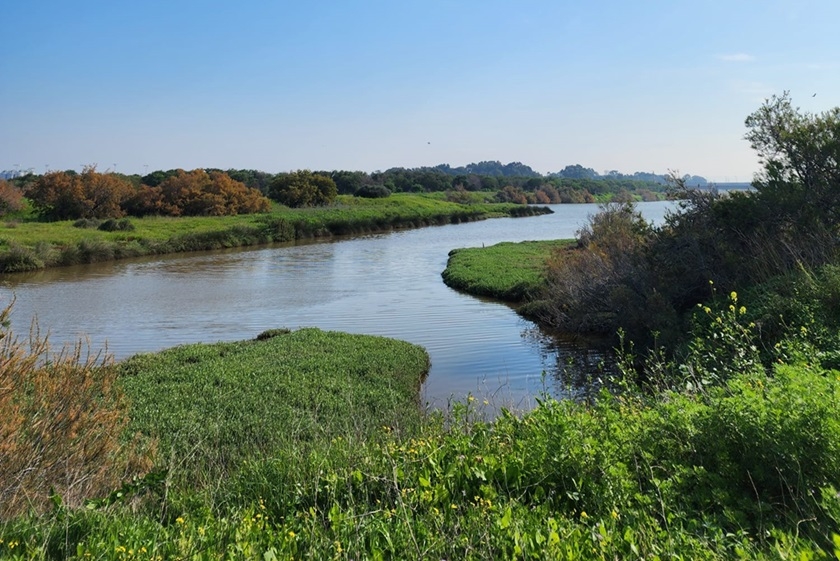סכנת הצפות במפרץ חיפה