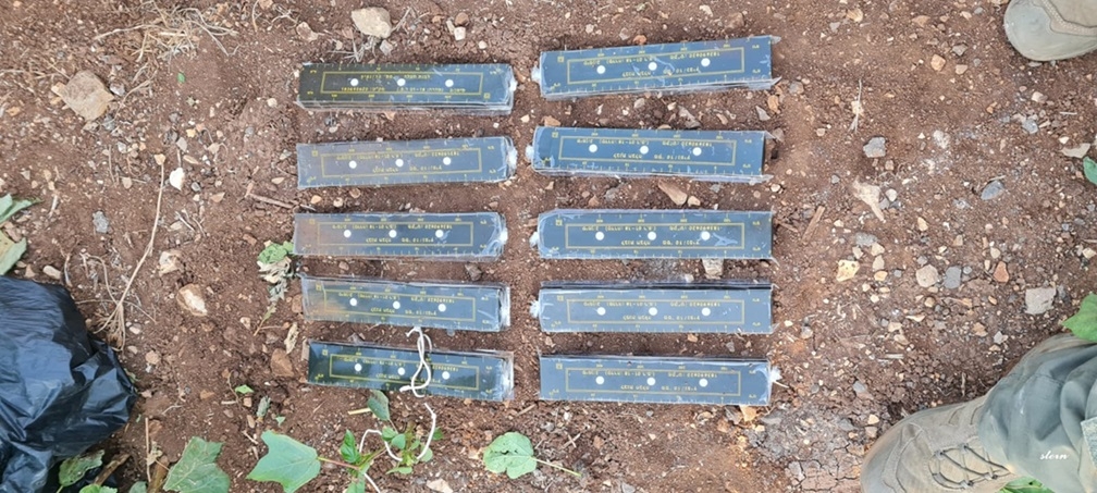 פורטל הכרמל