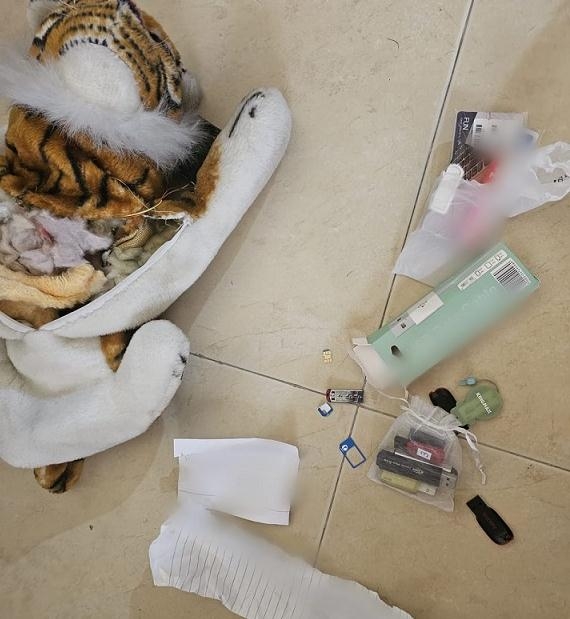 מורה פדופיל