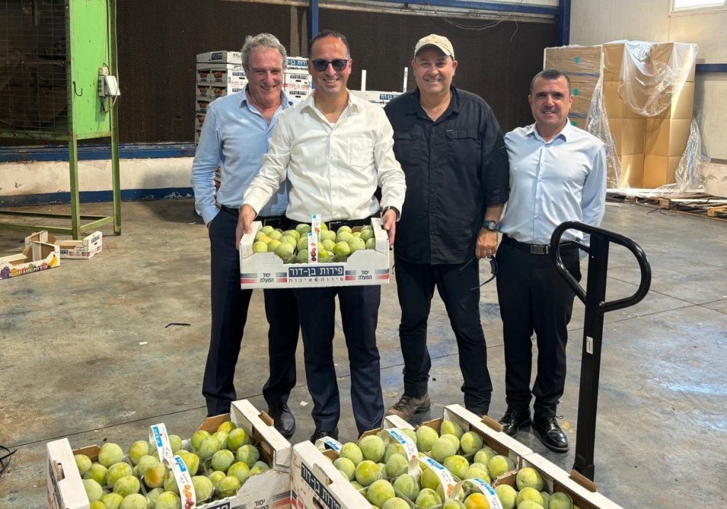 פורטל הכרמל