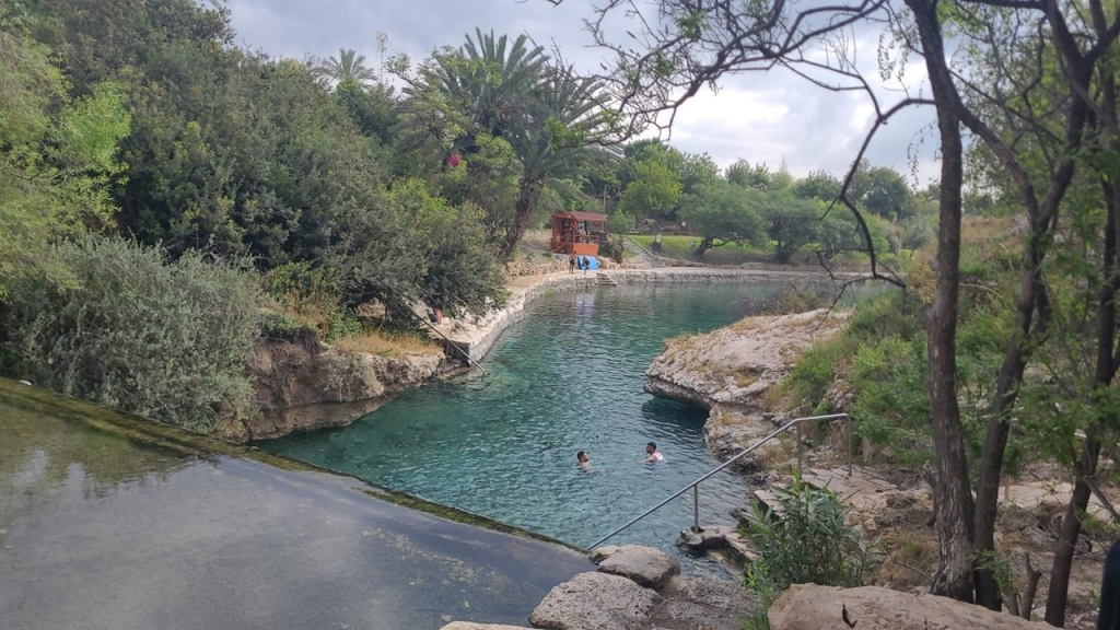 גן השלושה מתחיל לפעול כגן ירוק