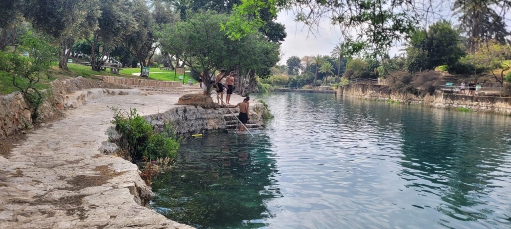 פורטל הכרמל