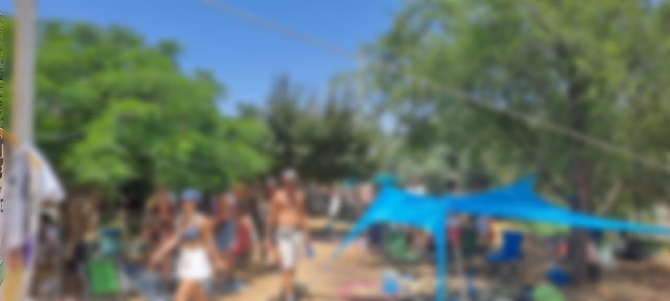 המשטרה פיזרה מסיבת טבע בצלמון