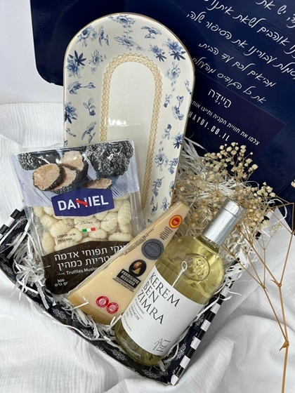 פורטל הכרמל