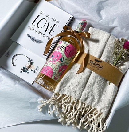 פורטל הכרמל