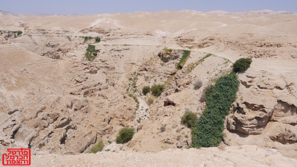 זהירות יתושות נגועות בנגיף קדחת הנילוס