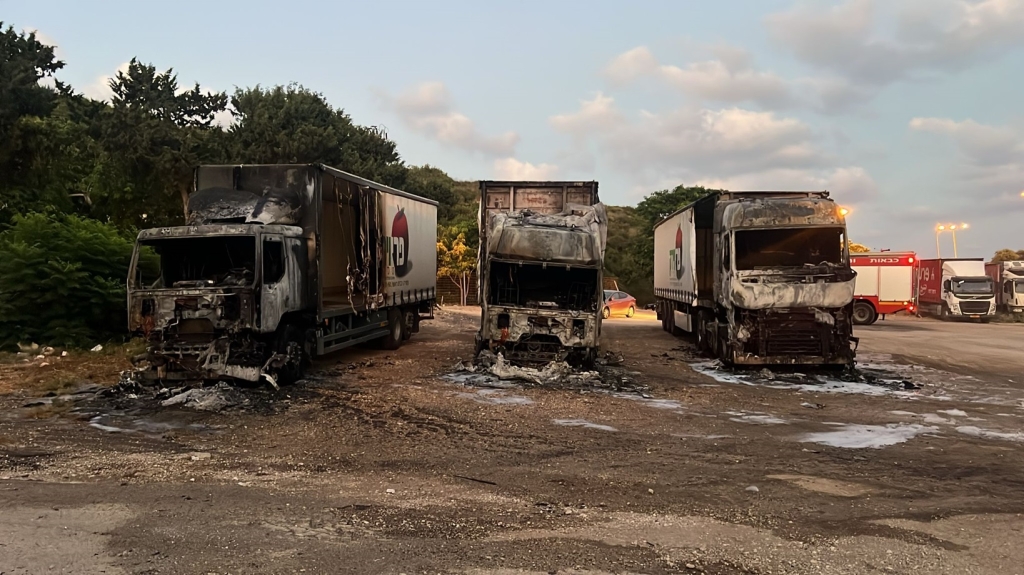 פורטל הכרמל