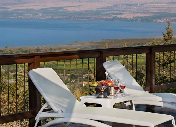 פורטל הכרמל