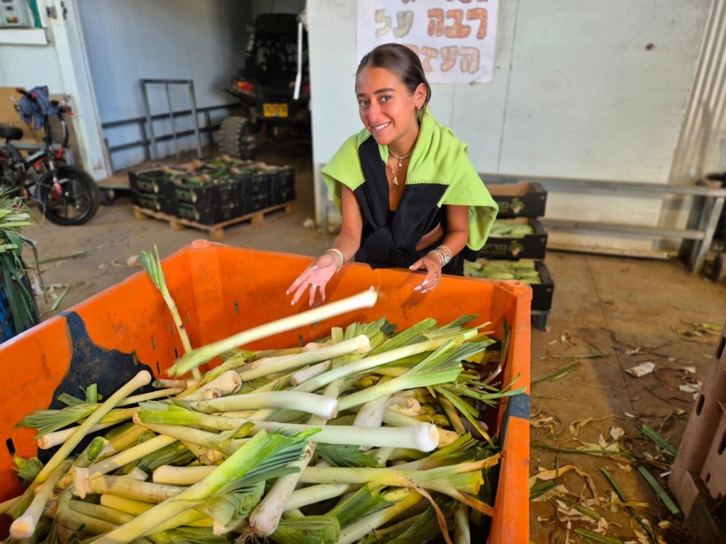 צמצום הטיסות לישראל