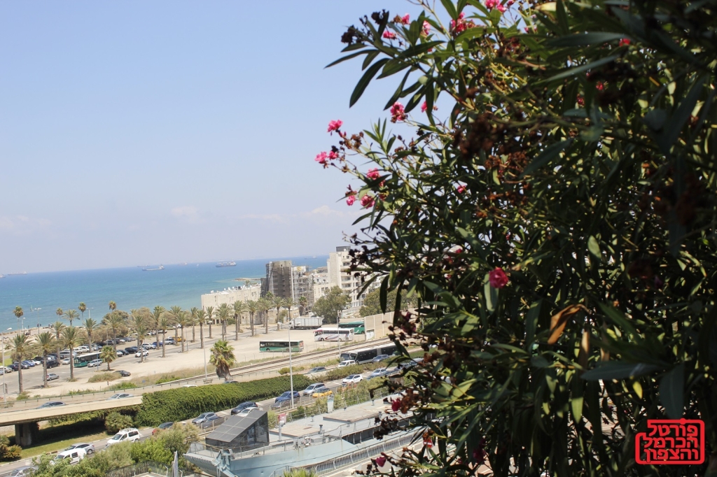 יום הזיכרון לחללי מערכות ישראל ולנפגעי פעולות האיבה בחיפה