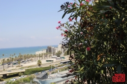 יום הזיכרון לחללי מערכות ישראל ולנפגעי פעולות האיבה בחיפה