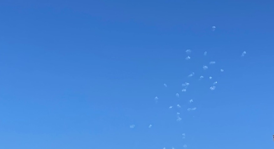 פורטל הכרמל