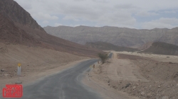 מסרון מהפרשה ויצא