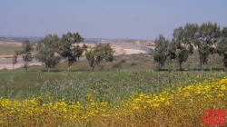 מסלול מורשה להיתר