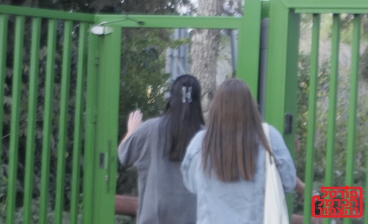 זכאות לבגרות הישגים ופערים