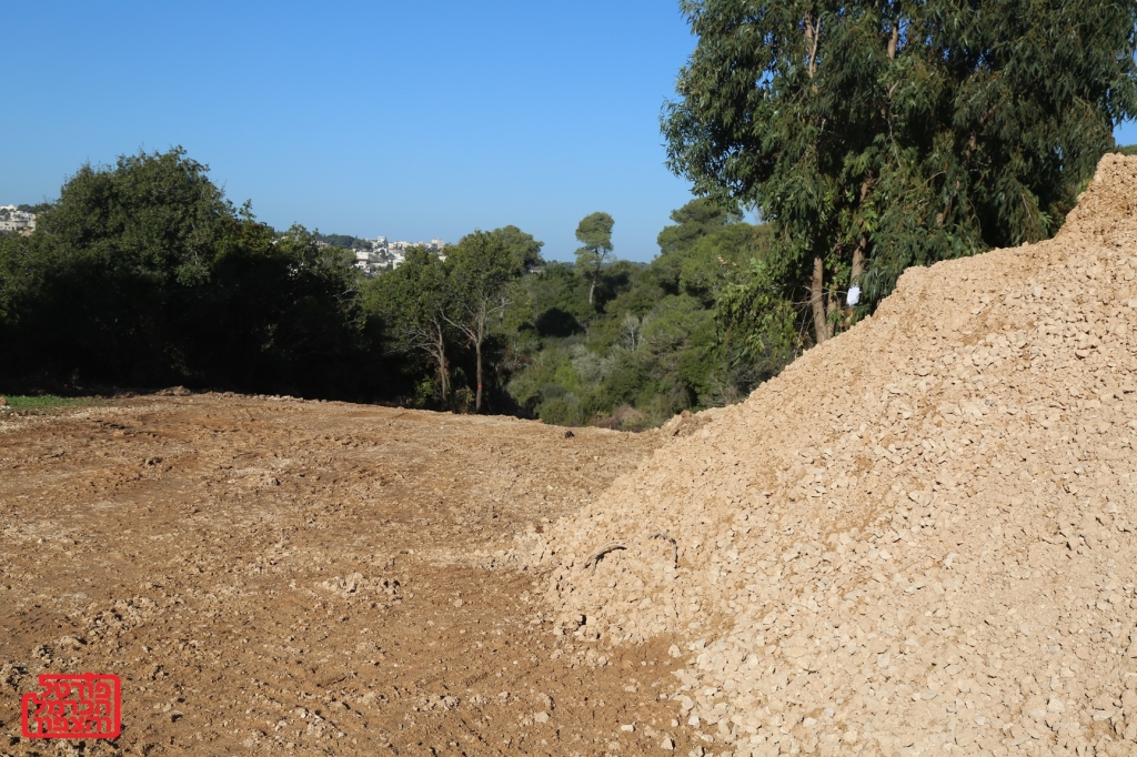 غاية الإحكام في أحاديث الأحكام