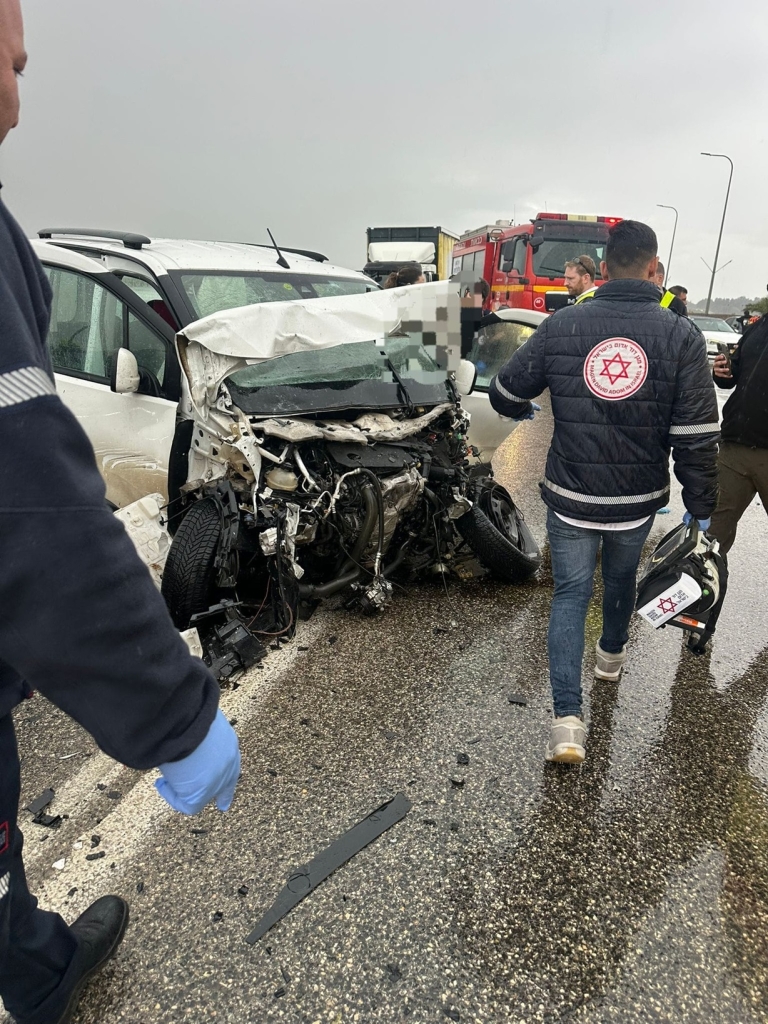 פורטל הכרמל