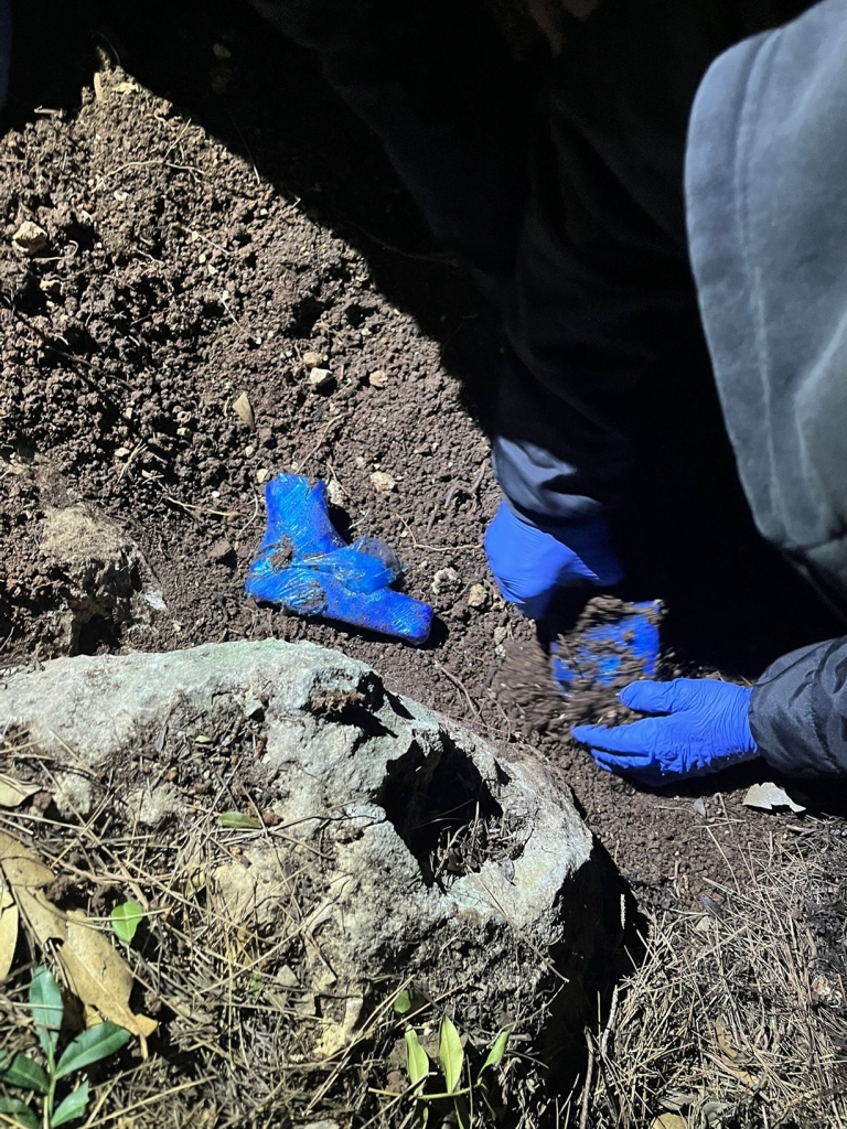 פורטל הכרמל