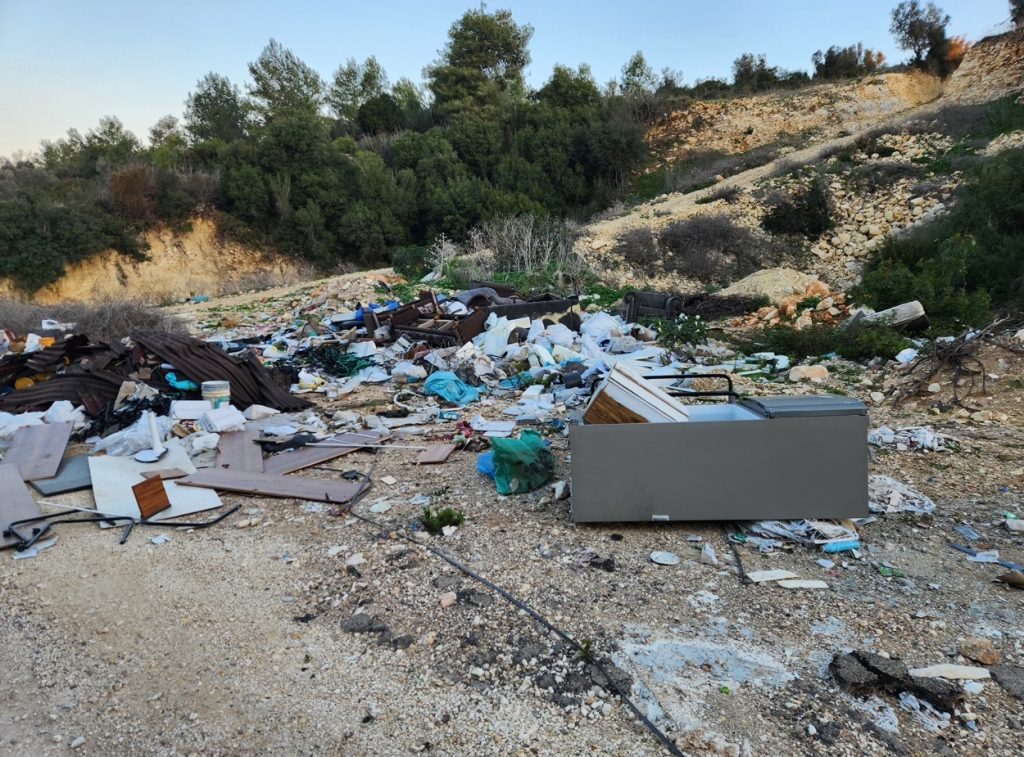 פורטל הכרמל