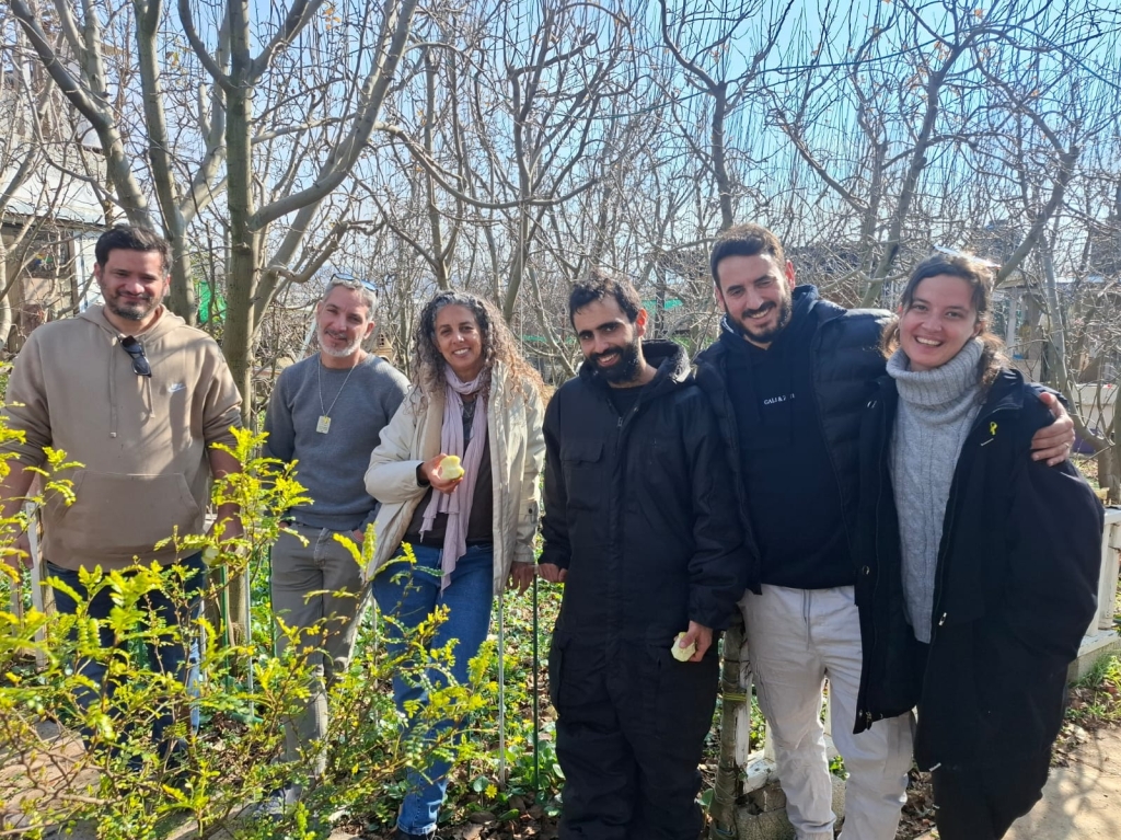 פורטל הכרמל