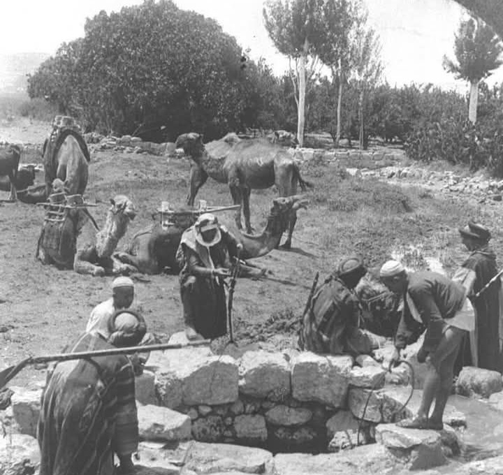 הבאר של מוחרקה בכרמל