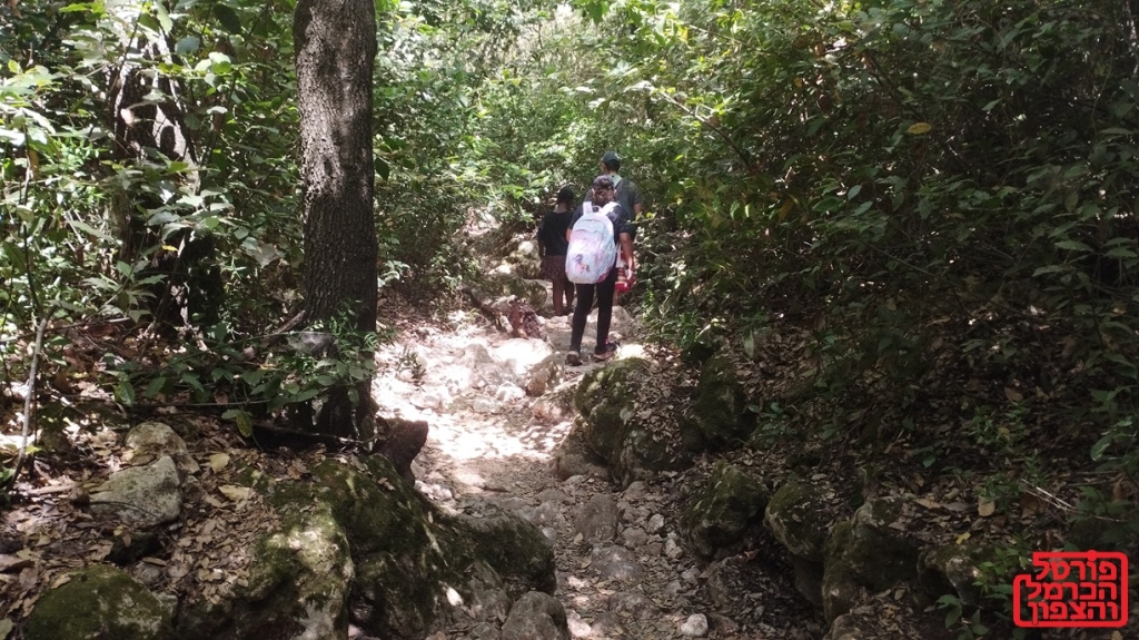 פורטל הכרמל