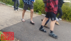 יוקם מאגר אשראי לעסקים